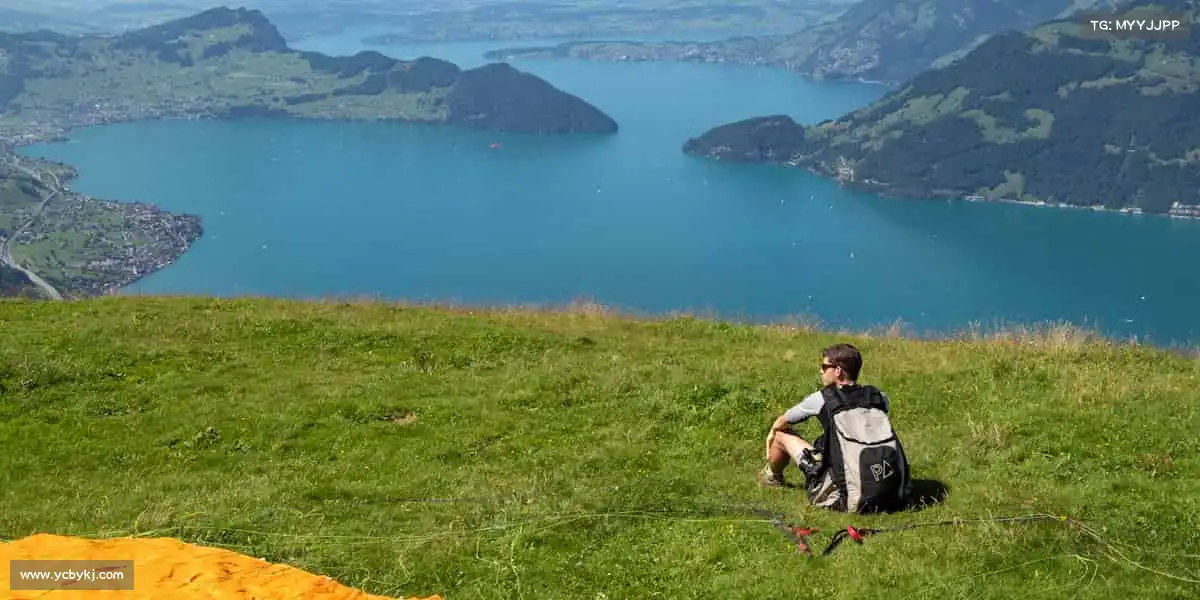 行业领先的理由